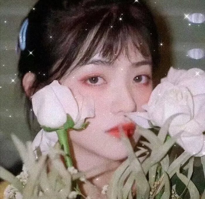 我的野蛮囧妃