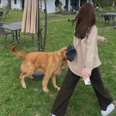 南街奇遇